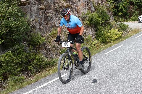 Arnulf Bredesen