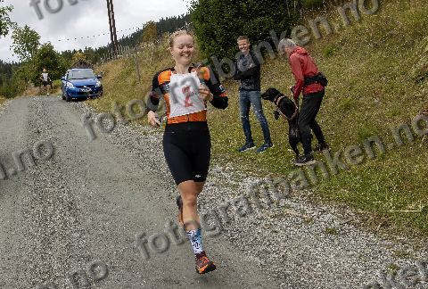 Tone-Mette Tømte