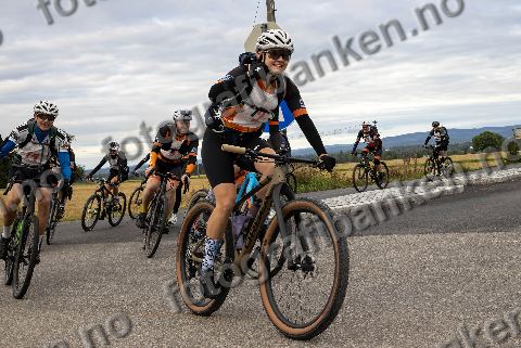 Trond Helge Myrvang, Jon Gedde Fraurud og Tone-Mette Tømte