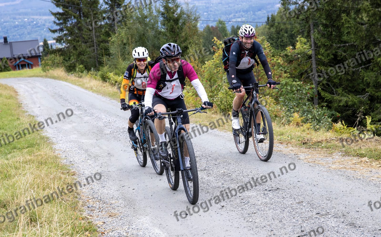 Ann-Merete Norderhaug, Kenneth Stokke og Rune Helgesen