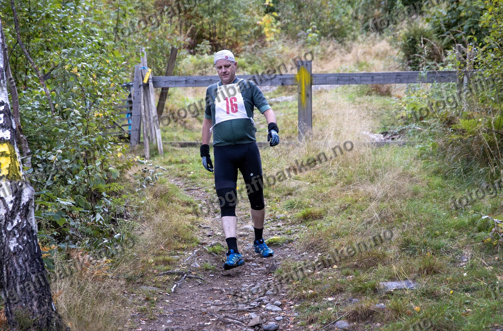 Knut Lund