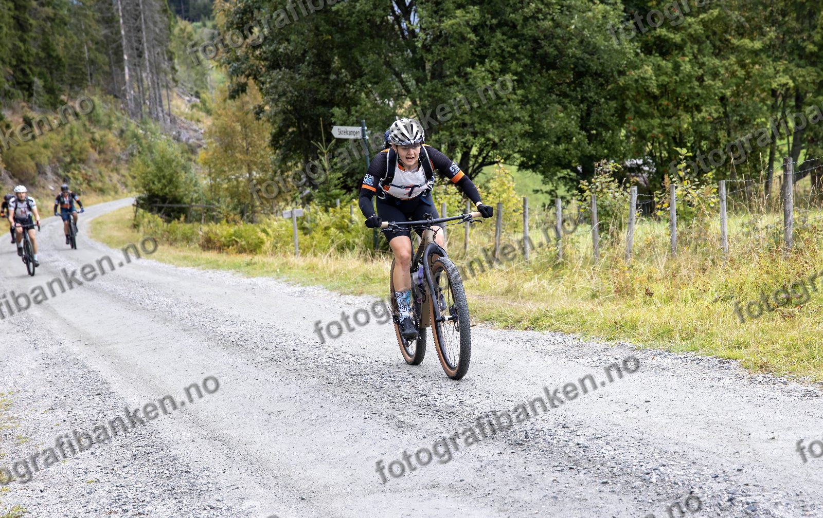 Tone-Mette Tømte