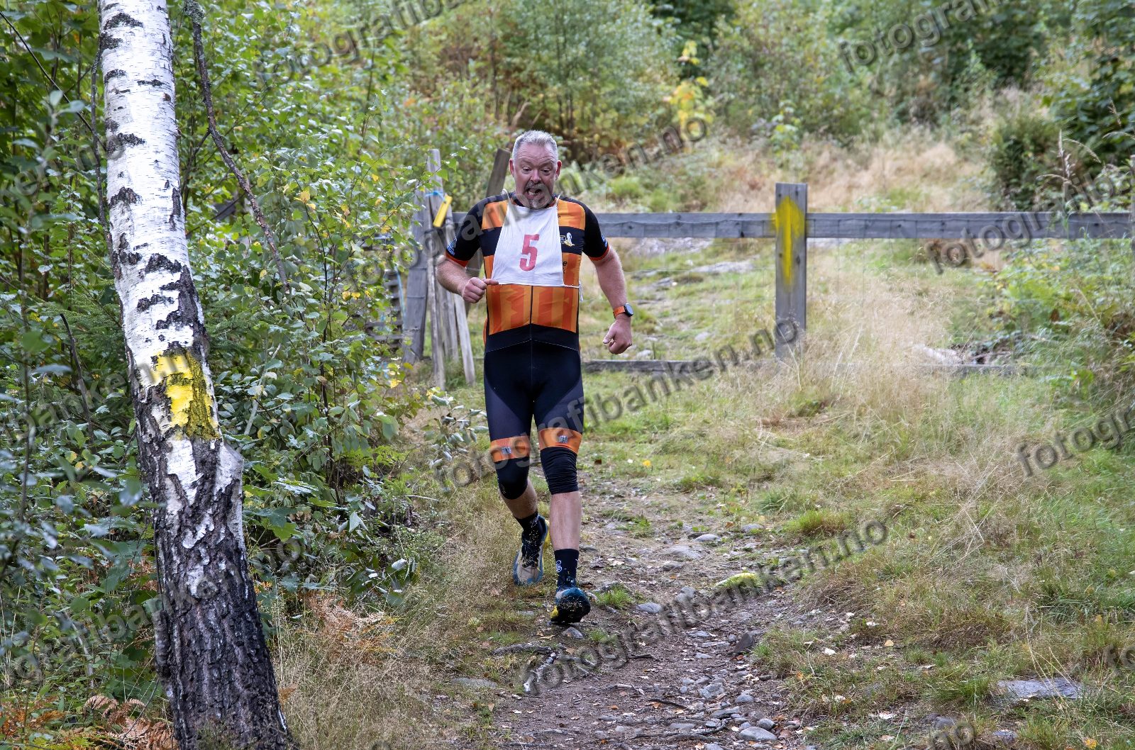 Trond Skillebekk