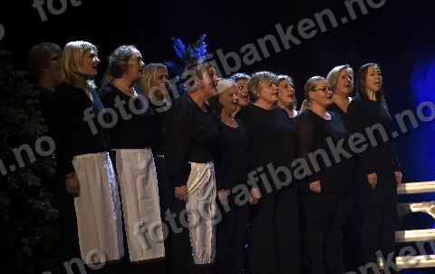 Bilde fra Absolutt Fresco 15. oktober 2022
