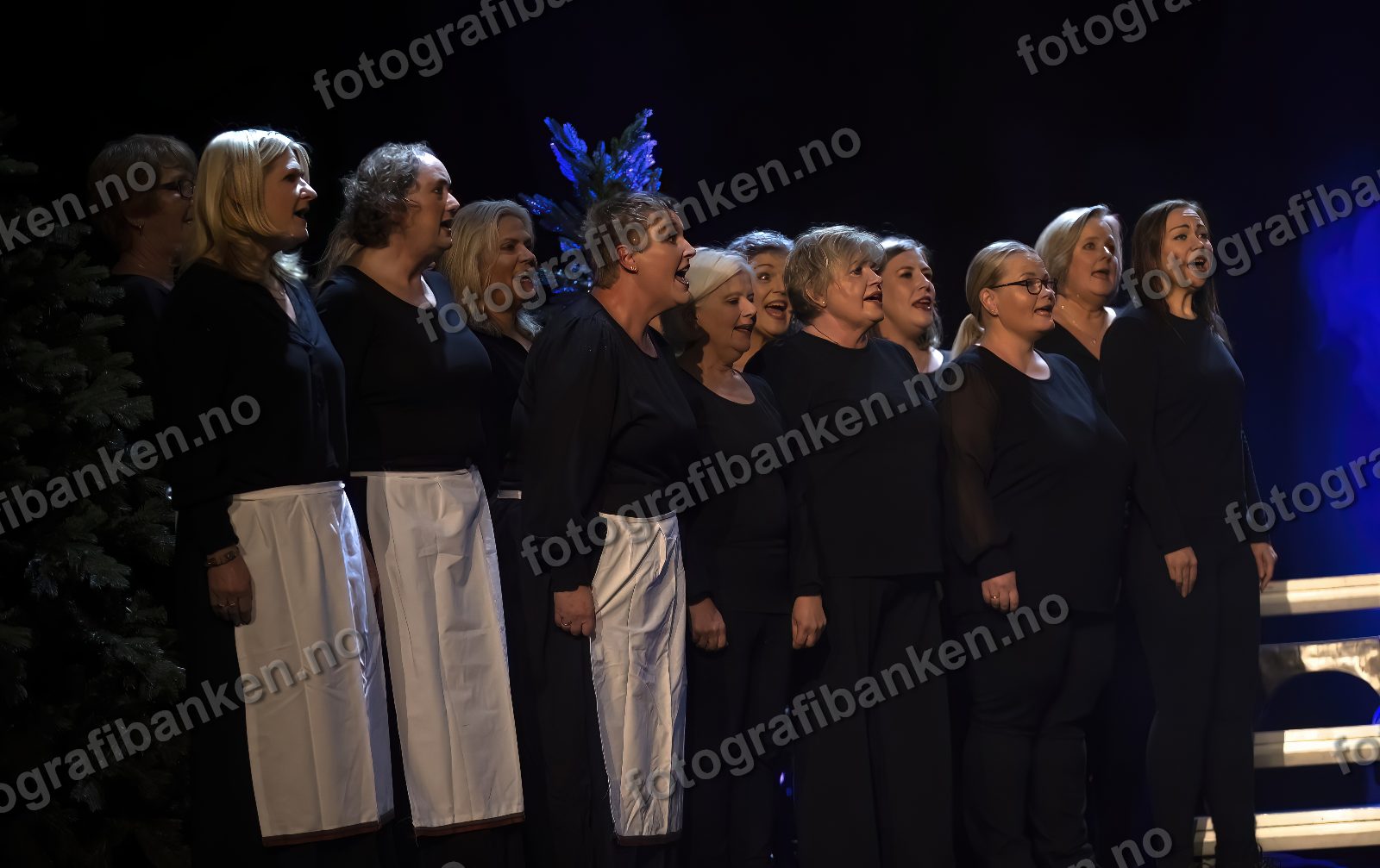 Bilde fra Absolutt Fresco 15. oktober 2022