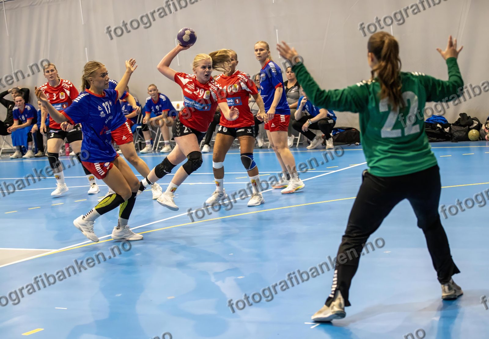 Hedda Tomsdatter Ekstrøm