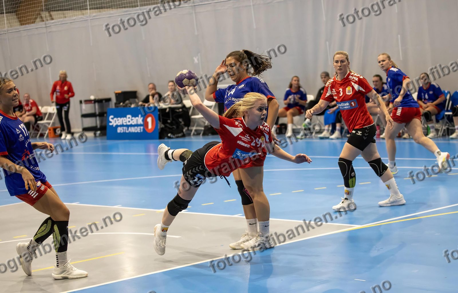 Hedda Tomsdatter Ekstrøm