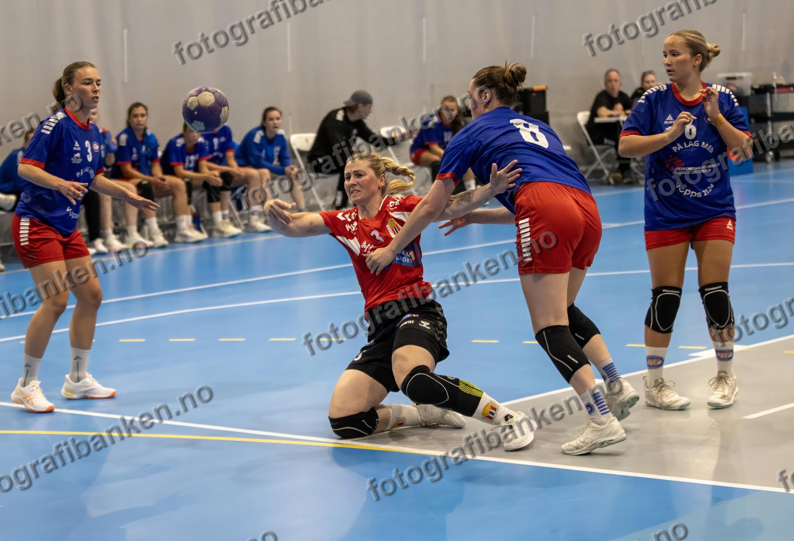 Lene Korstad