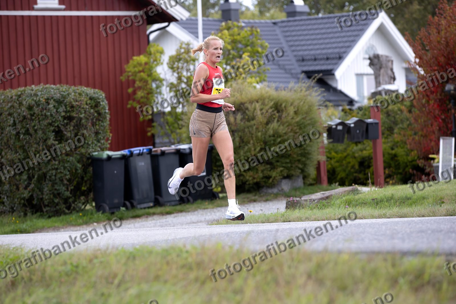 Sigrun Gjølberg (754)