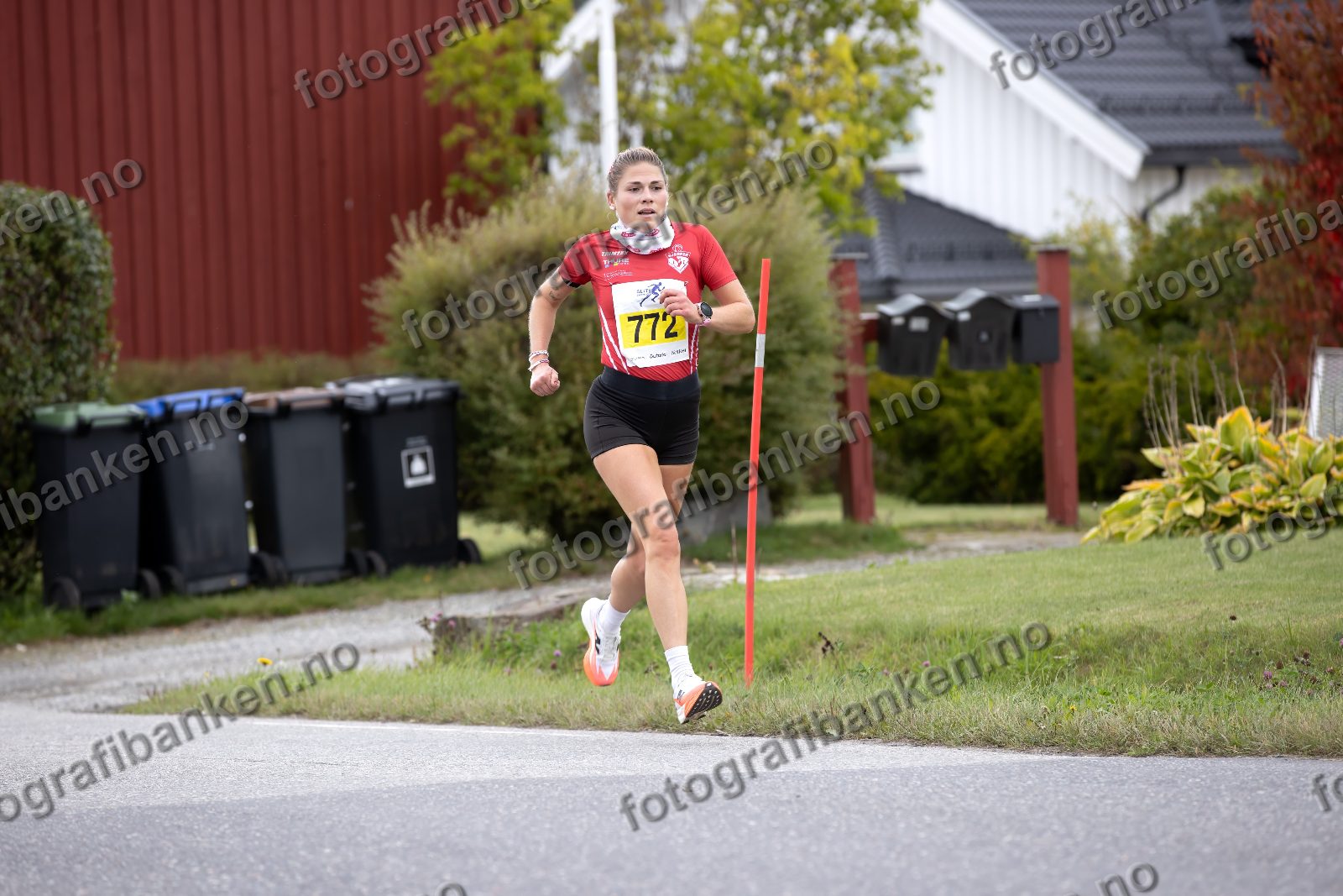 Marie Fornes Danielsen (772)