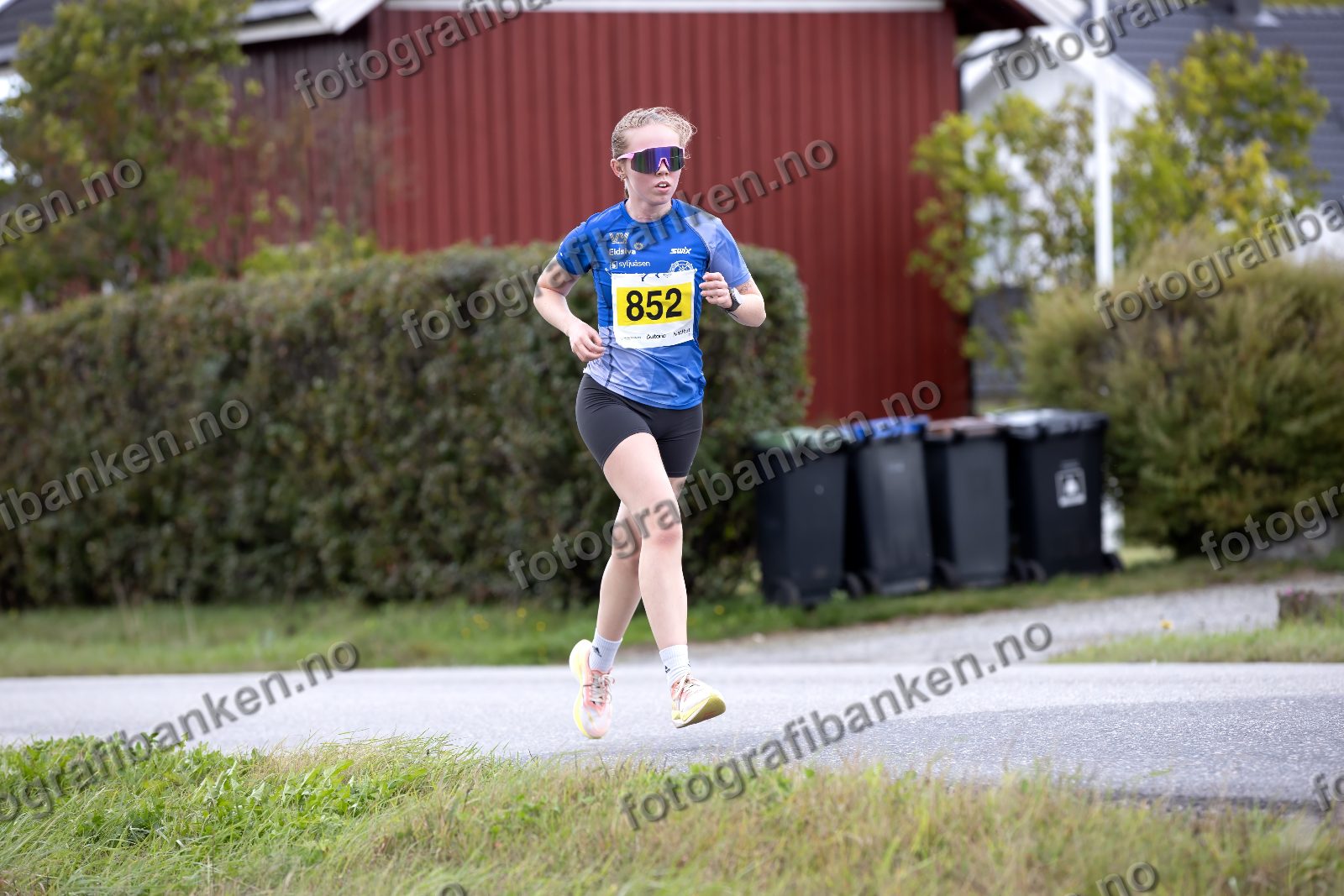 Hedda Njå (852)