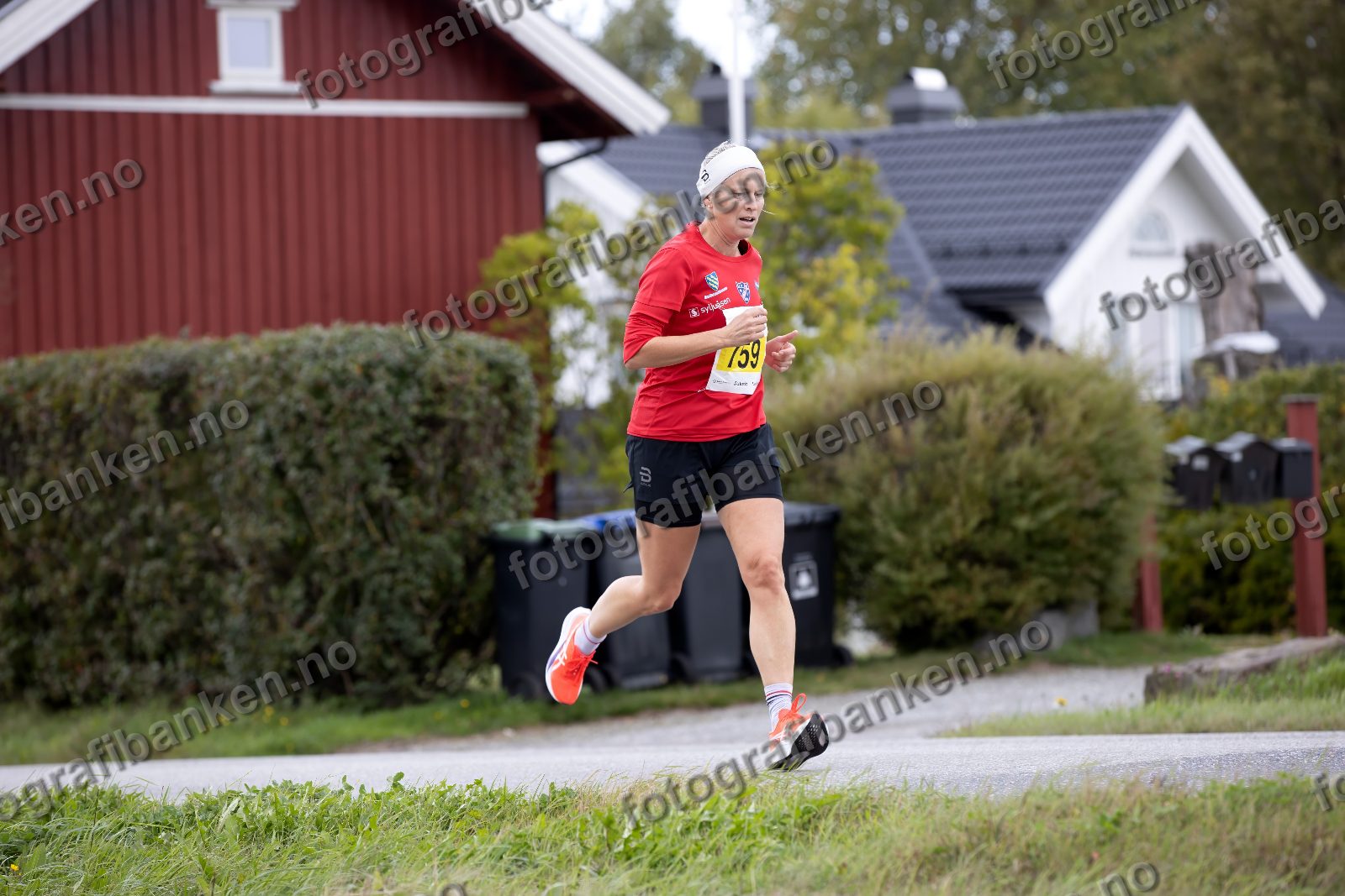 Kjersti Ingebretsen (759)