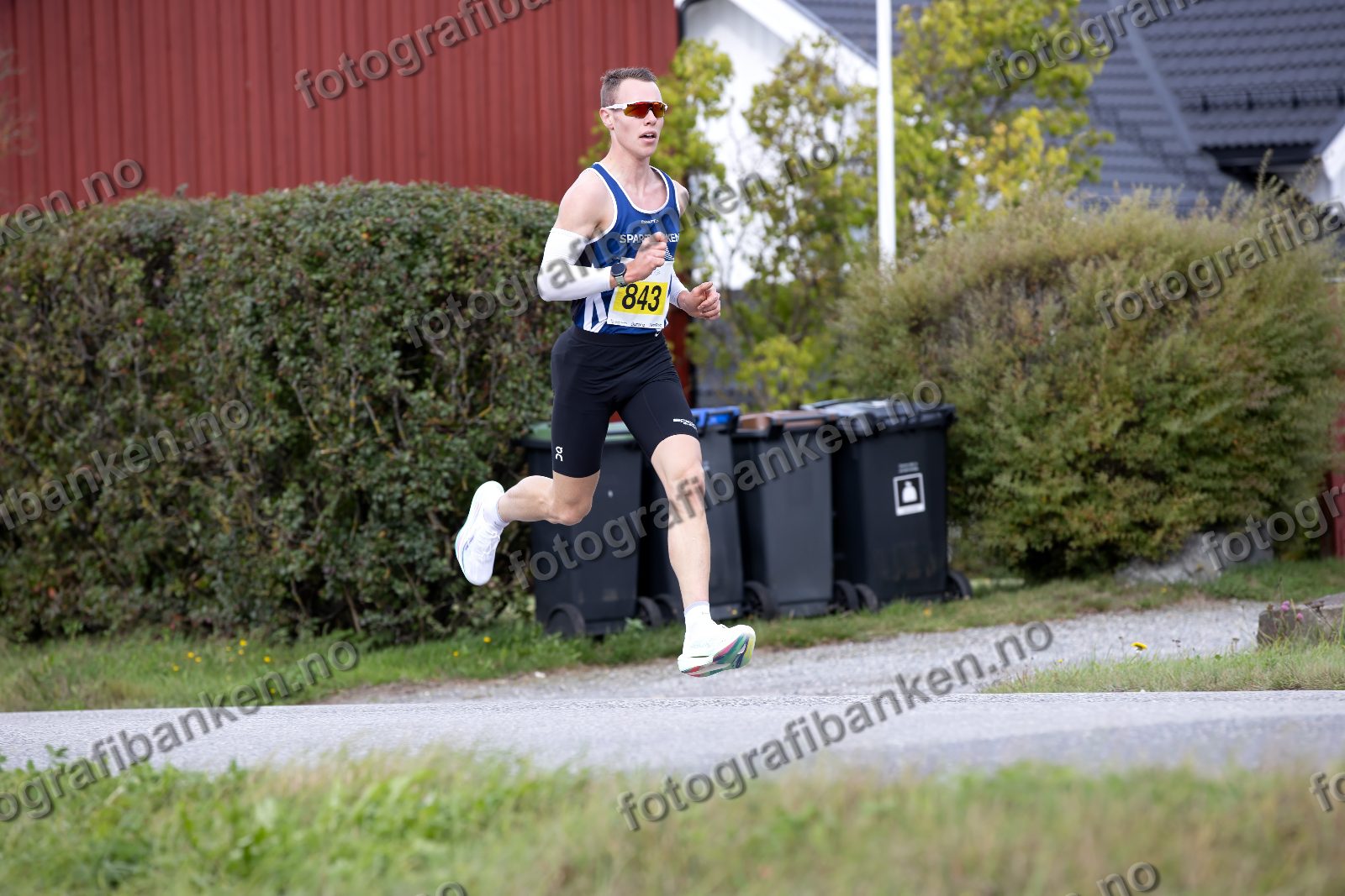 Vebjørn Hovdejord (843)