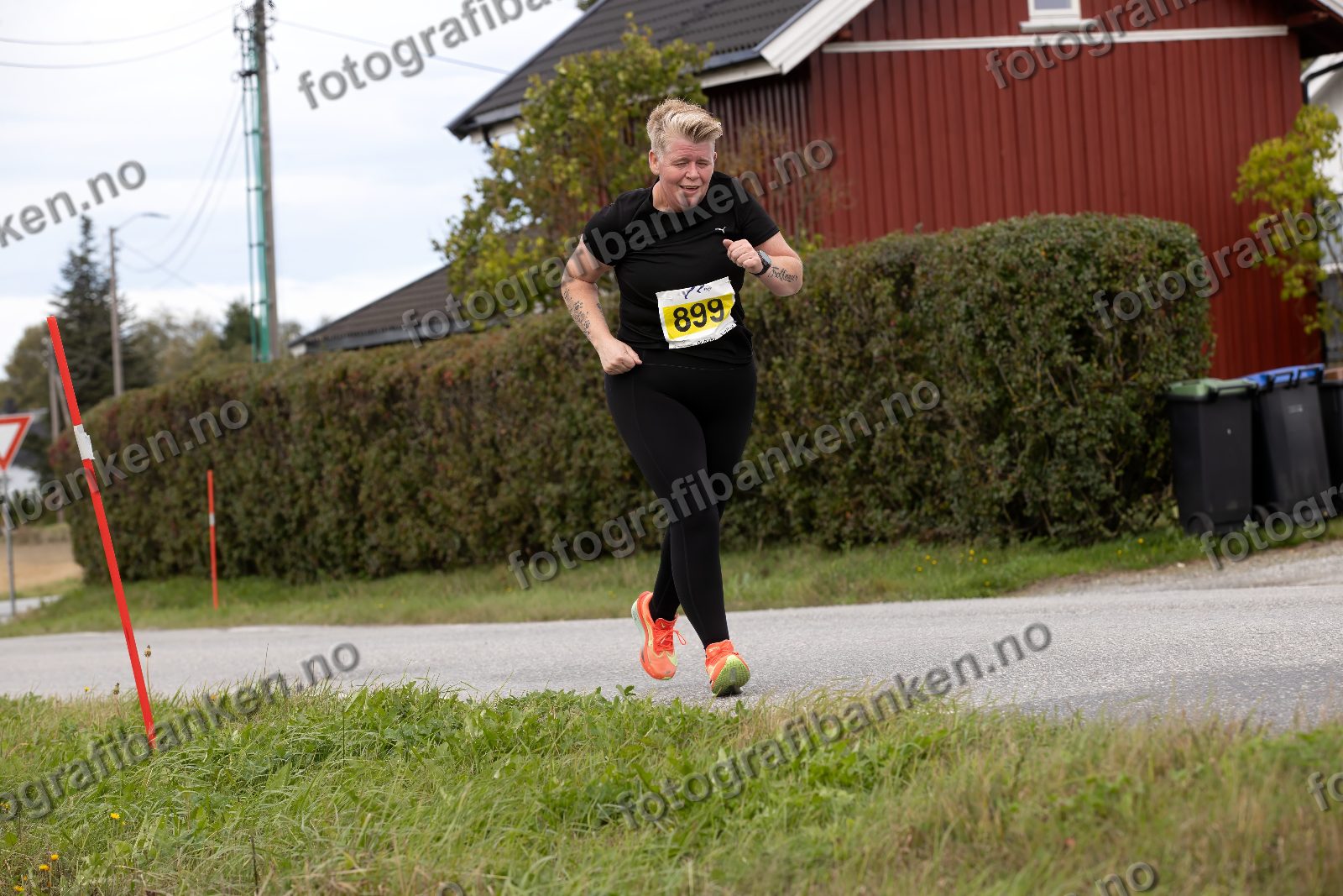 Synnøve Kvebekk (899)