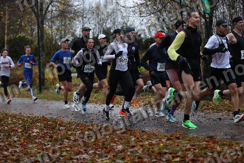 Elin Pedersen Nystuen (9495) · Line Sørensen-Ødegård (9517) · Haavard Haktor Holstad (255)