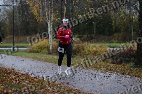 Dorthea Mørkved Glorud (9202)