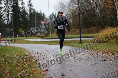 Anders Sørensen (446)