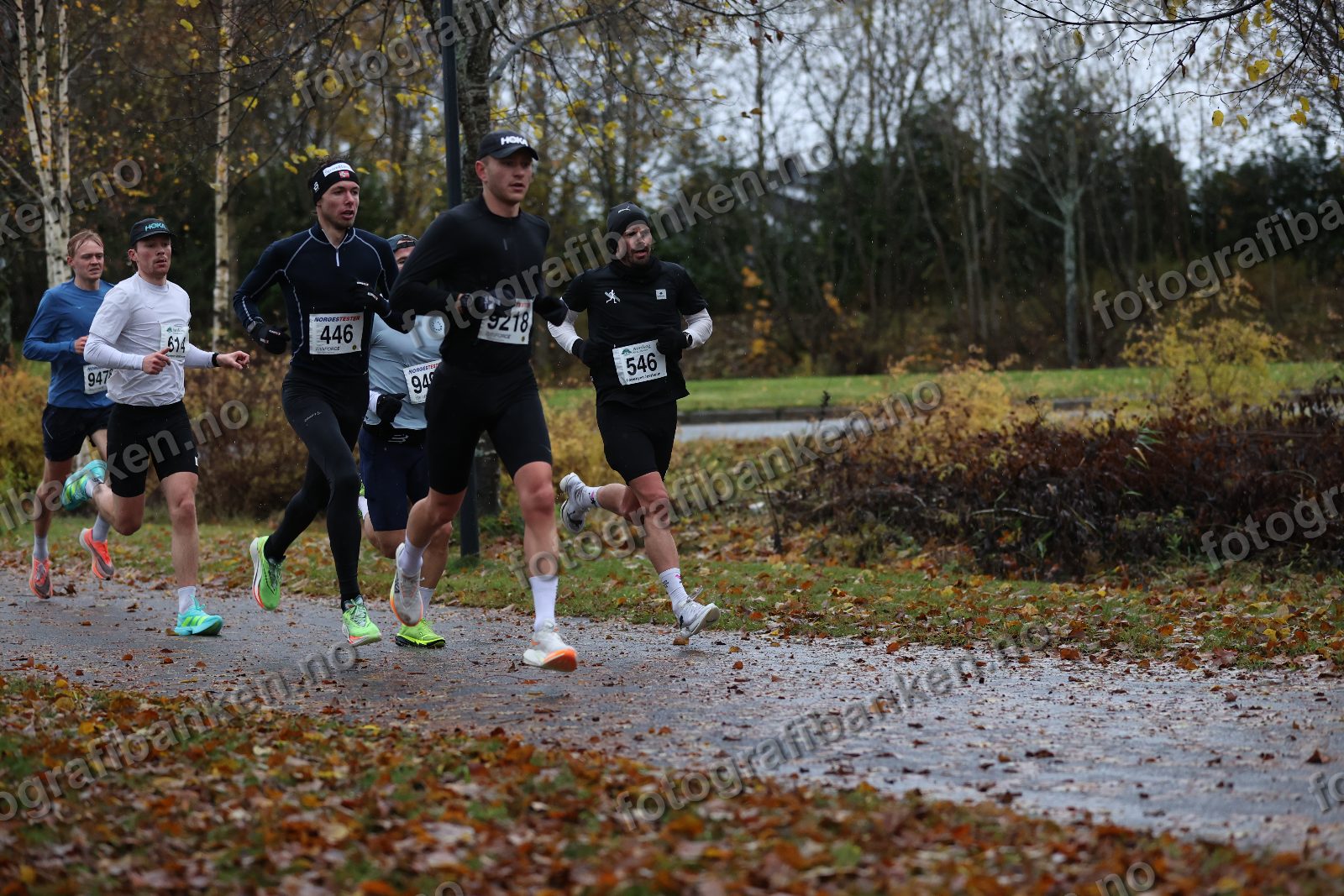 Kristian Grue (9218) · Kristian Ulriksen (546)