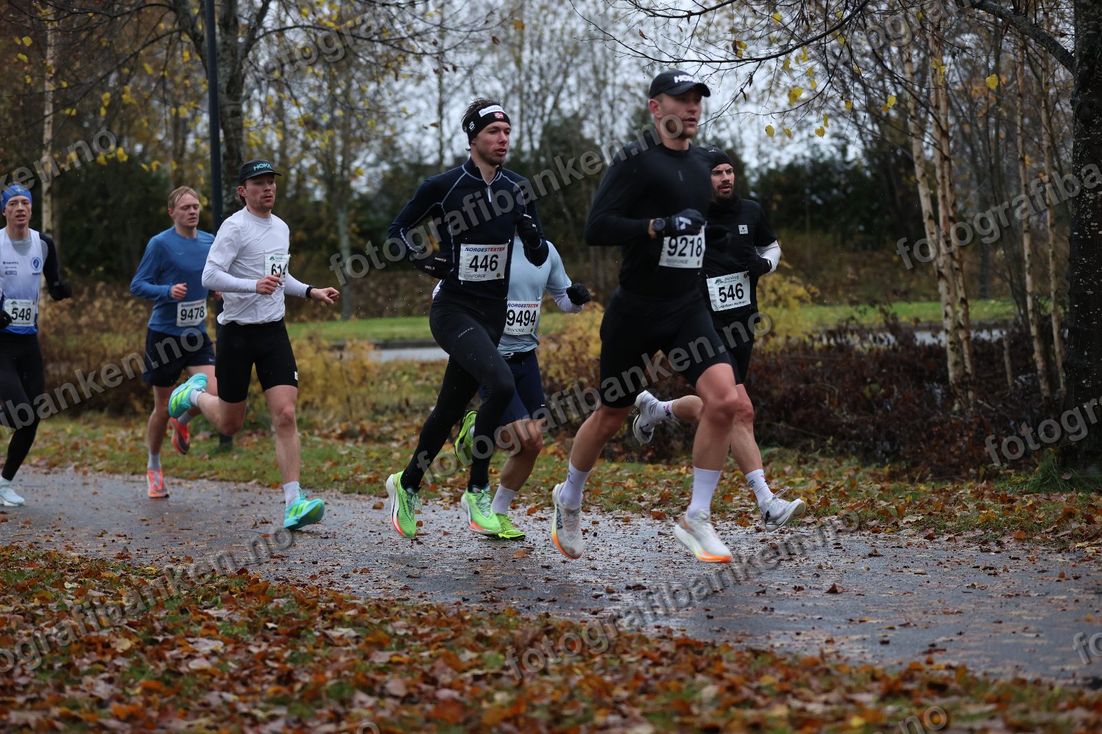 Anders Sørensen (446) · Kristian Grue (9218)