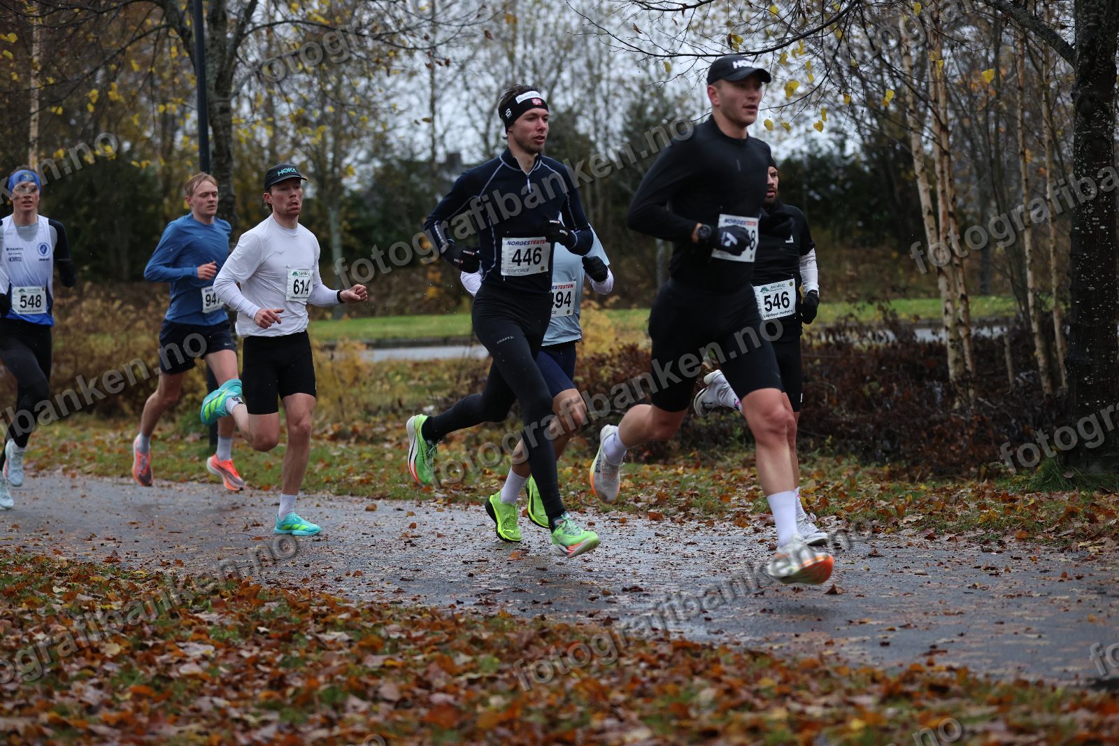Anders Sørensen (446) · Kristian Grue (9218)