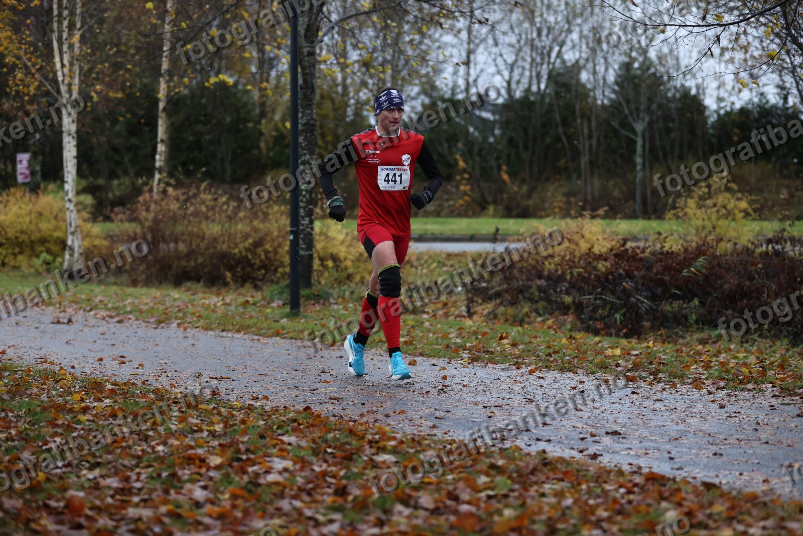 Frode Audun Kraugerud (441)