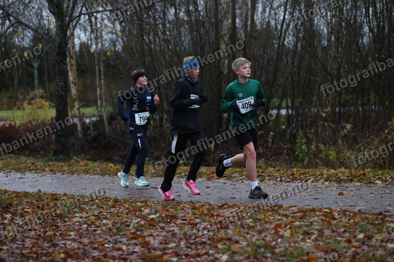 Ludvig Johnsen (369) · Gustav Lauvstad Jarness (790) · Loke Raael (409)