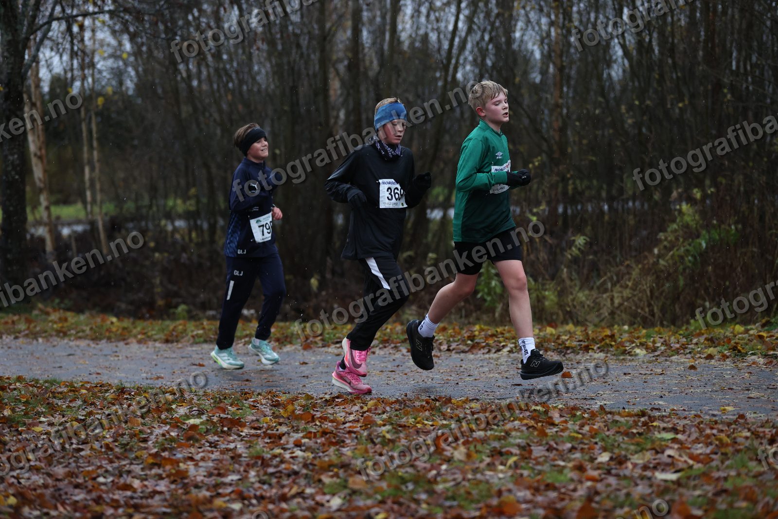 Ludvig Johnsen (369) · Gustav Lauvstad Jarness (790) · Loke Raael (409)