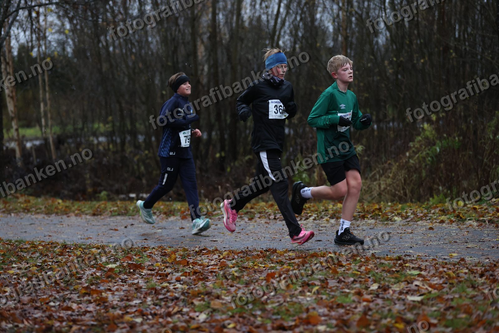 Ludvig Johnsen (369) · Gustav Lauvstad Jarness (790) · Loke Raael (409)