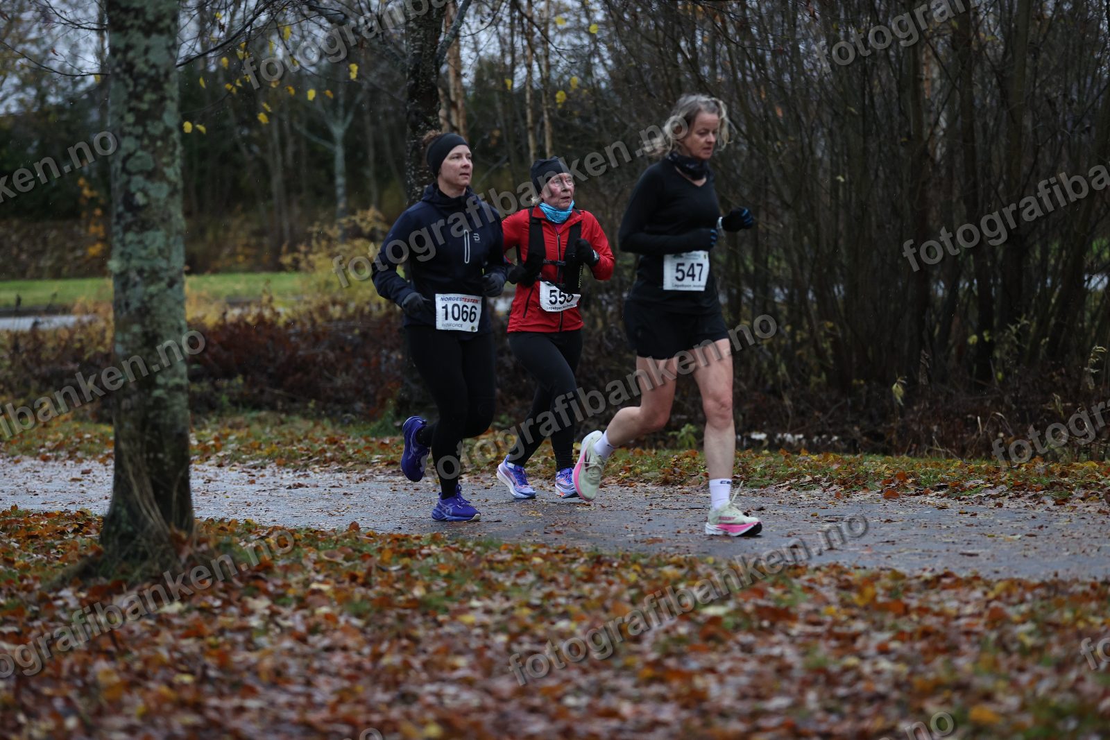 Torild Wickstrøm (555) · Lena Haugen (1066) · Anja Vaskinn (547)