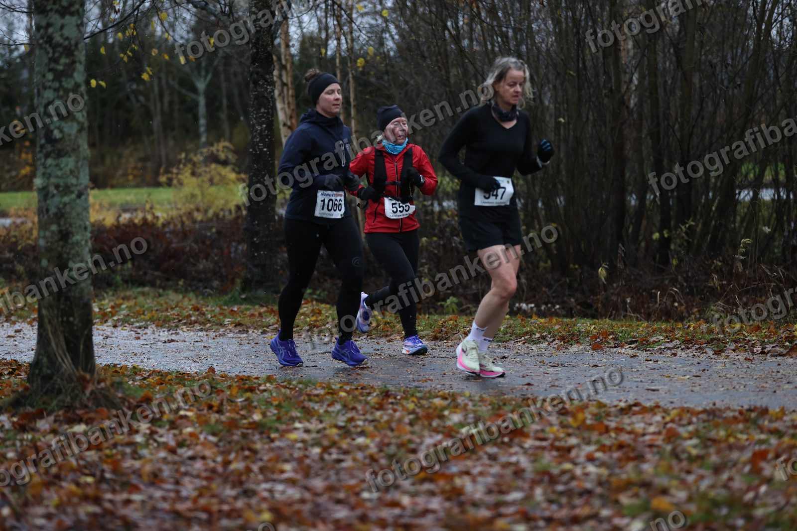 Torild Wickstrøm (555) · Lena Haugen (1066) · Anja Vaskinn (547)