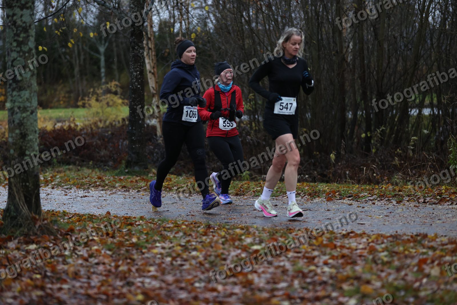 Torild Wickstrøm (555) · Lena Haugen (1066) · Anja Vaskinn (547)