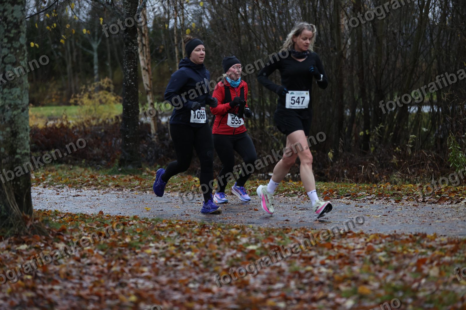 Torild Wickstrøm (555) · Lena Haugen (1066) · Anja Vaskinn (547)
