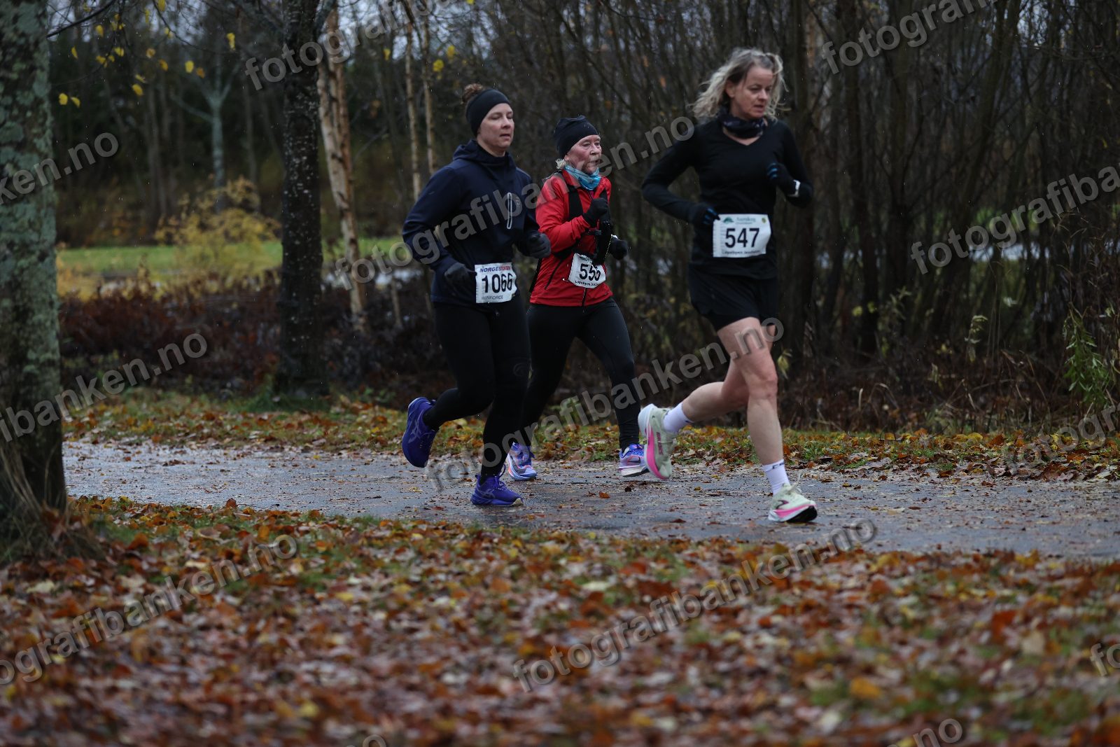 Torild Wickstrøm (555) · Lena Haugen (1066) · Anja Vaskinn (547)