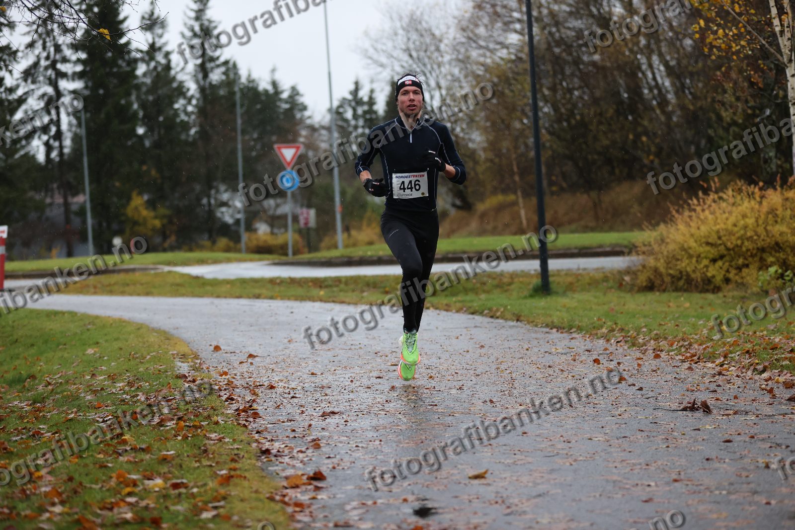 Anders Sørensen (446)