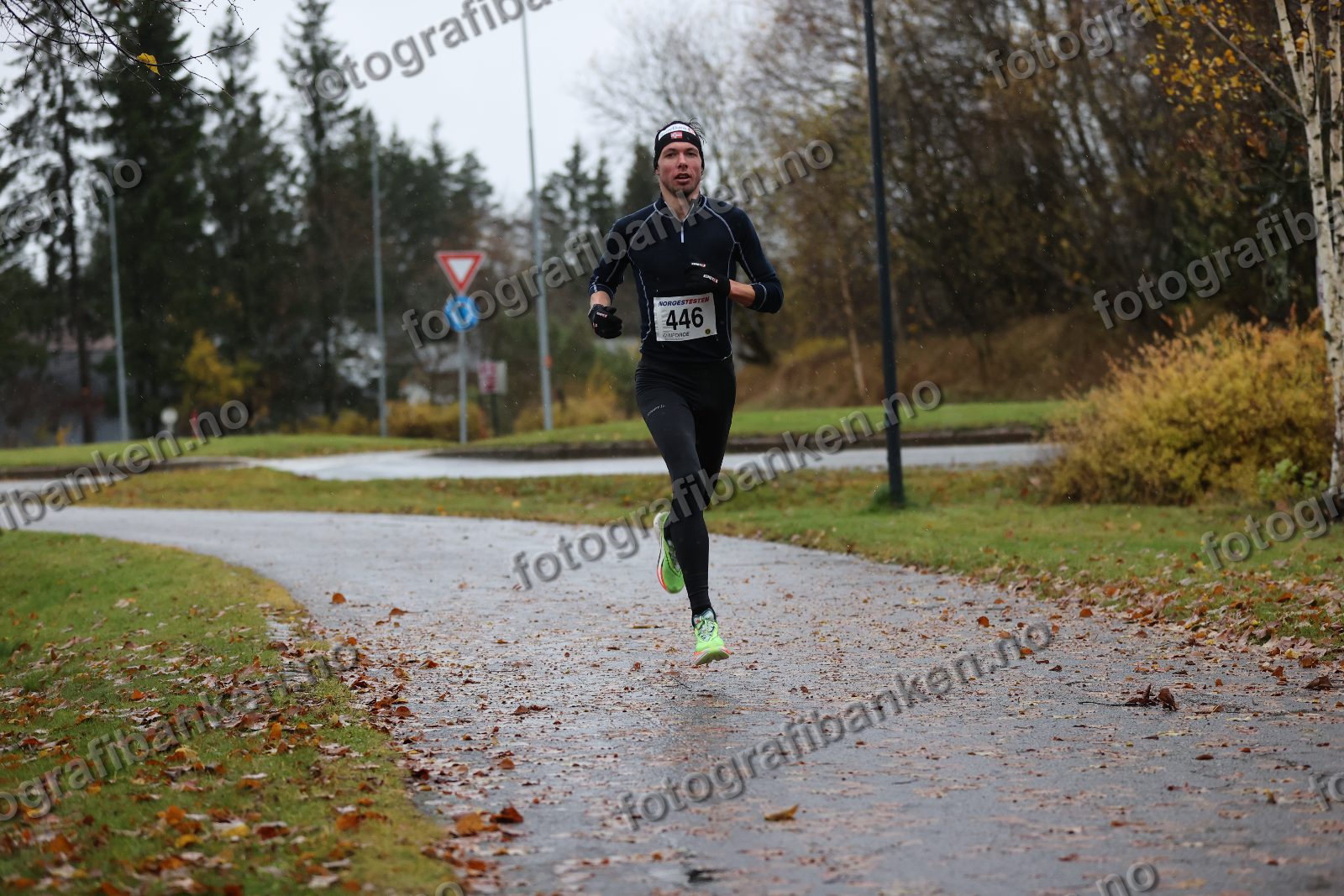Anders Sørensen (446)