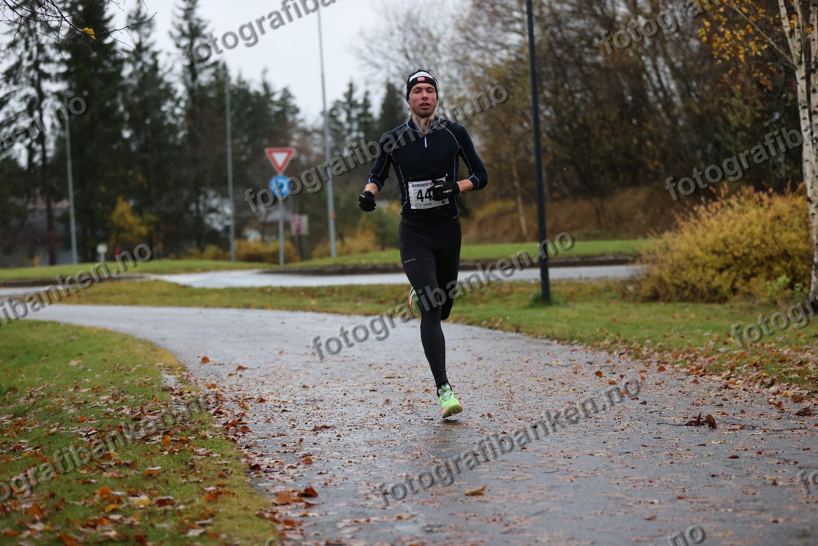 Anders Sørensen (446)
