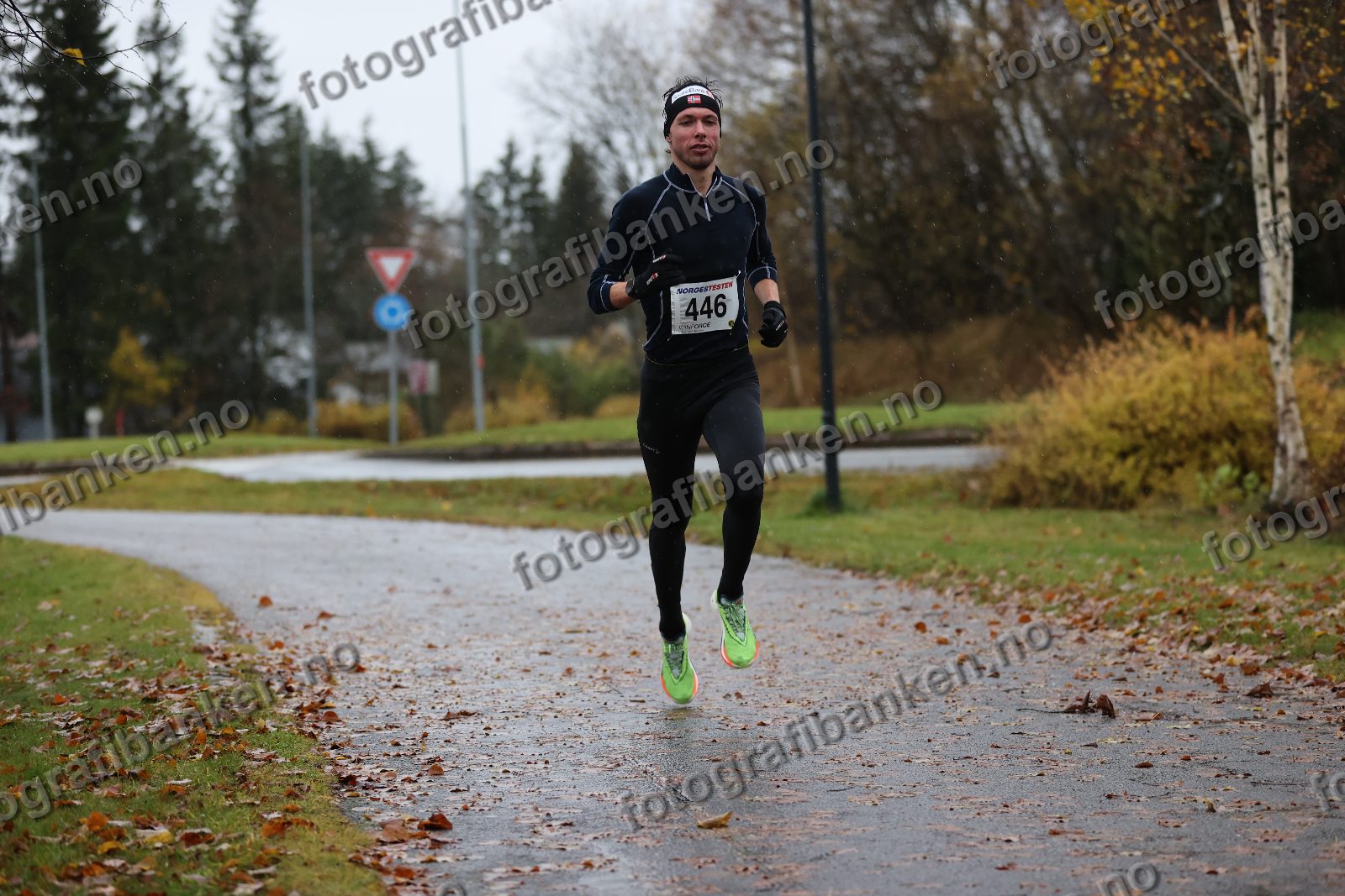 Anders Sørensen (446)