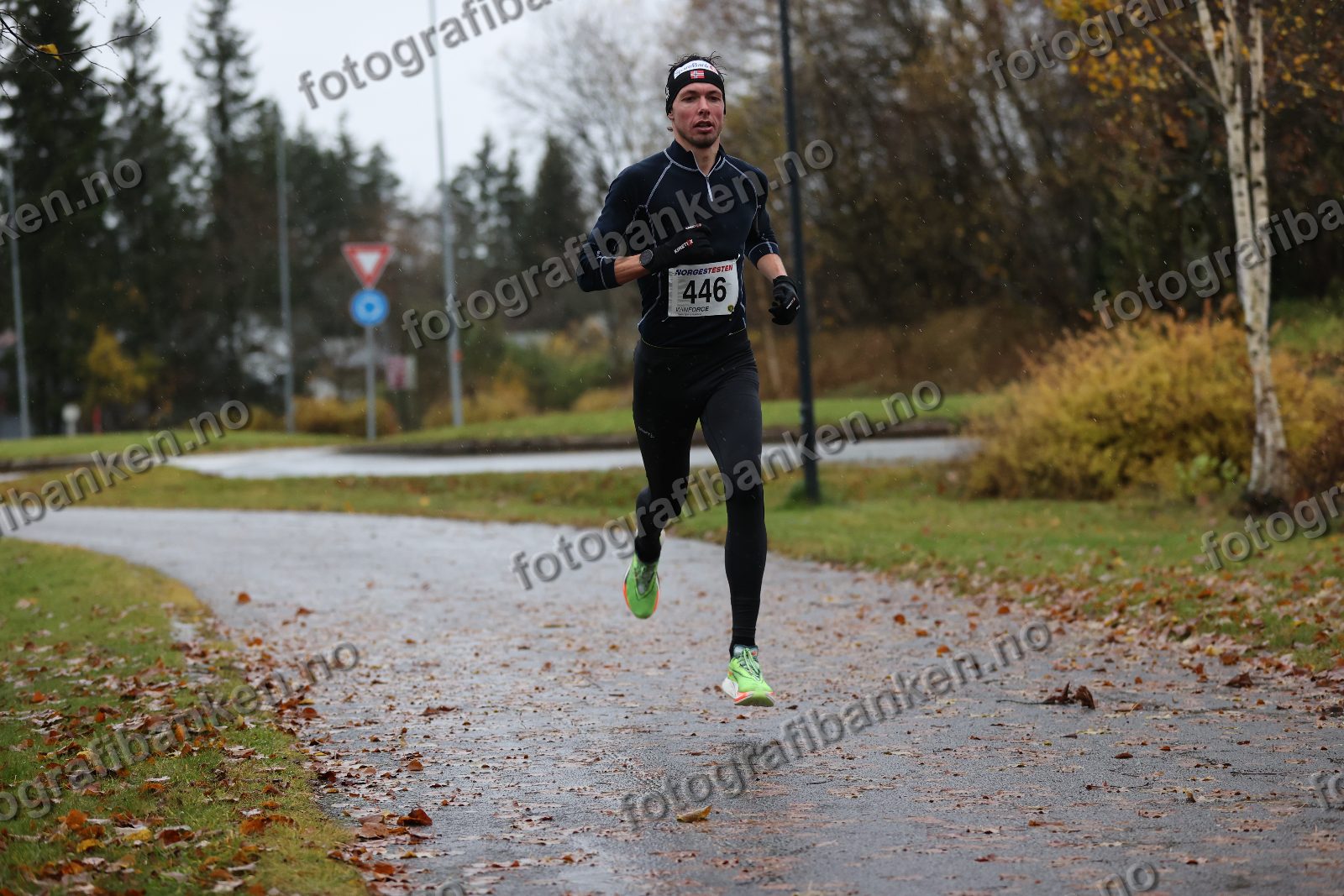 Anders Sørensen (446)