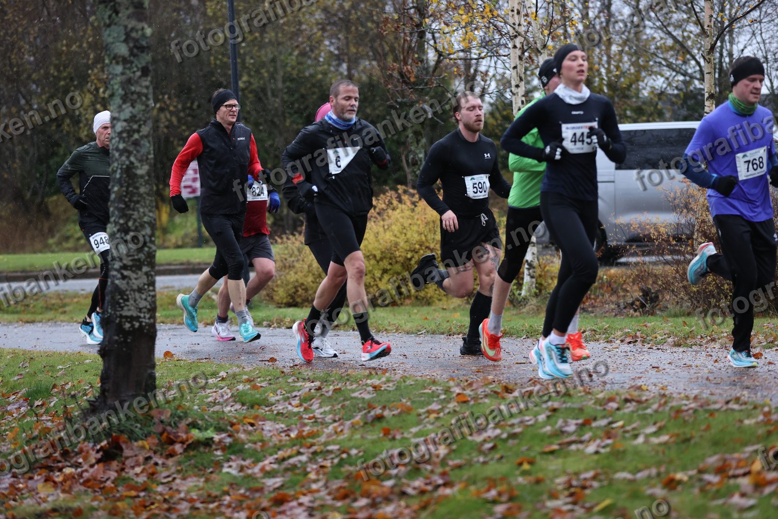 Kristine Stillerud (445) · Trond Skaret Johansen (768) · Viktor Aanesen (590)