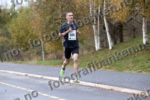 Sverre Landejohansen (980)
