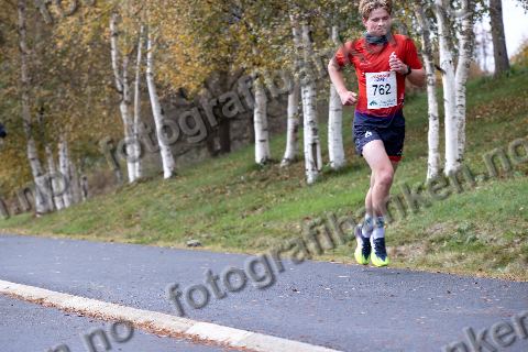 Gaute Skyrudsmoen (762)