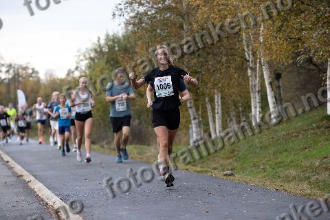 Emma Arvidsson (1005) · Nora Ellingsen (206) · Stig Vervik Ellingsen (319)