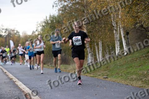 Nora Ellingsen (206) · Stig Vervik Ellingsen (319) · Emma Arvidsson (1005)