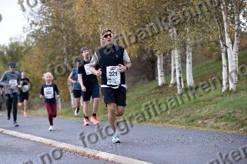 Marius Fjellheim (321)