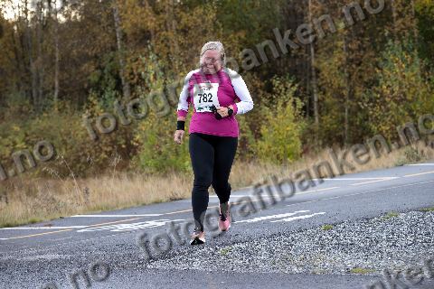 Anne Andersen (782)