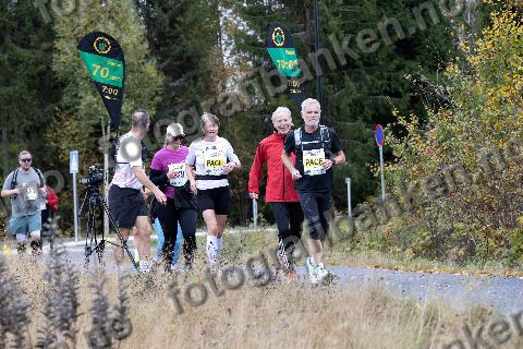Petter Endsjø (98) · Karina Klufterud (379) · Tove Øier Vidje (99)