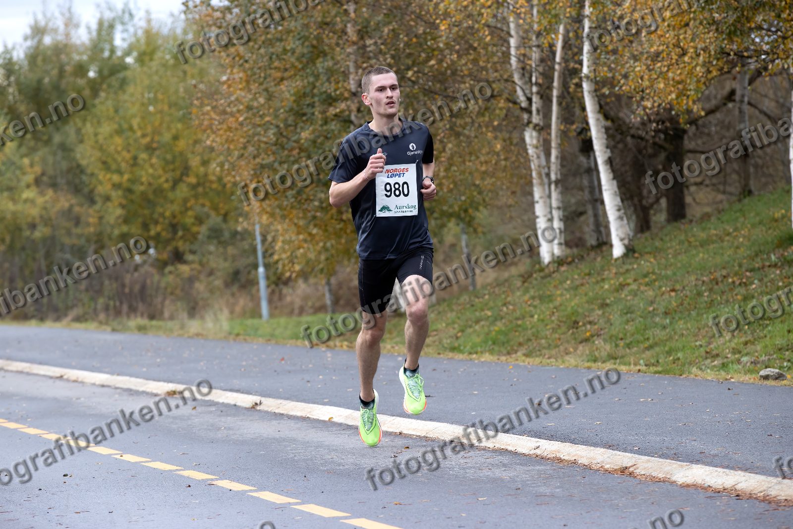 Sverre Landejohansen (980)