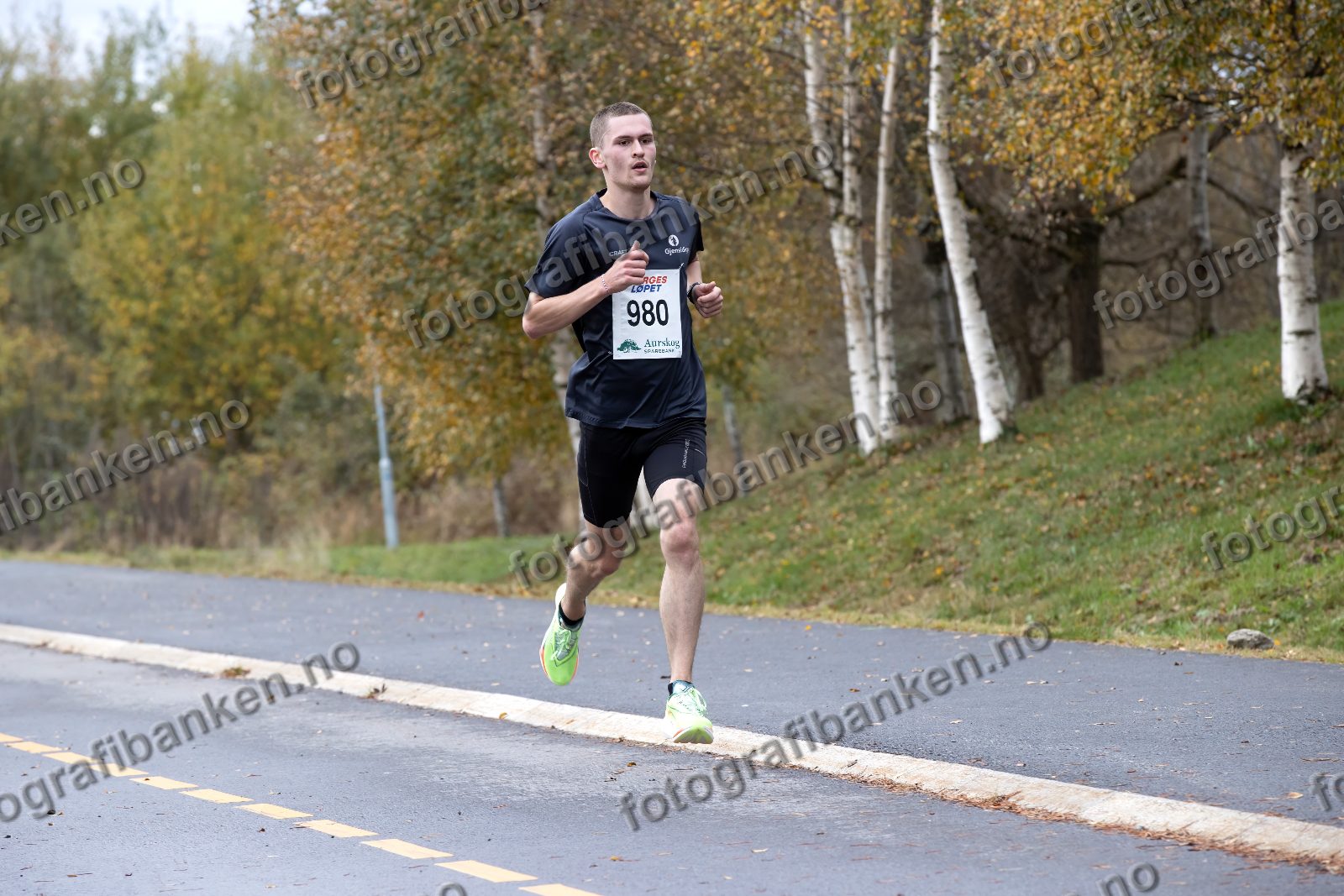 Sverre Landejohansen (980)