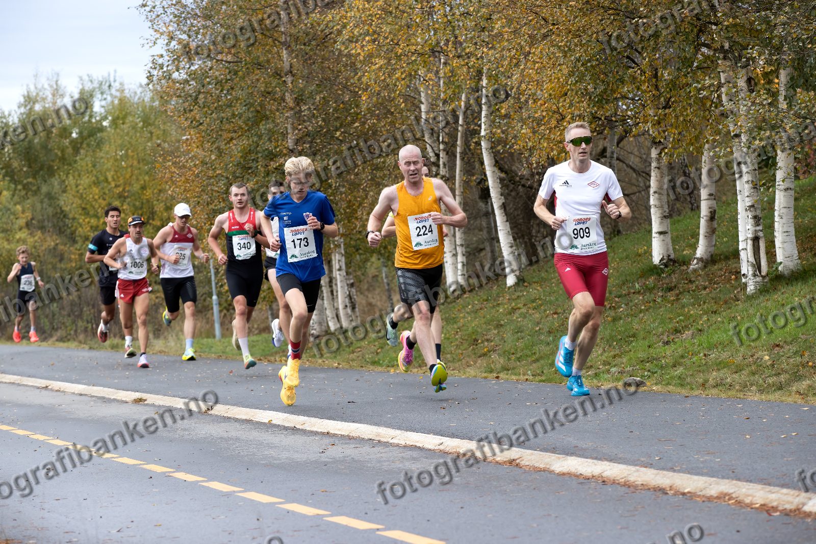 bl.a. Noah Johannessen (225) · Syver Kongsrud (340) · Stig Mauseth (173) · Terje Gulbrandsen (224)