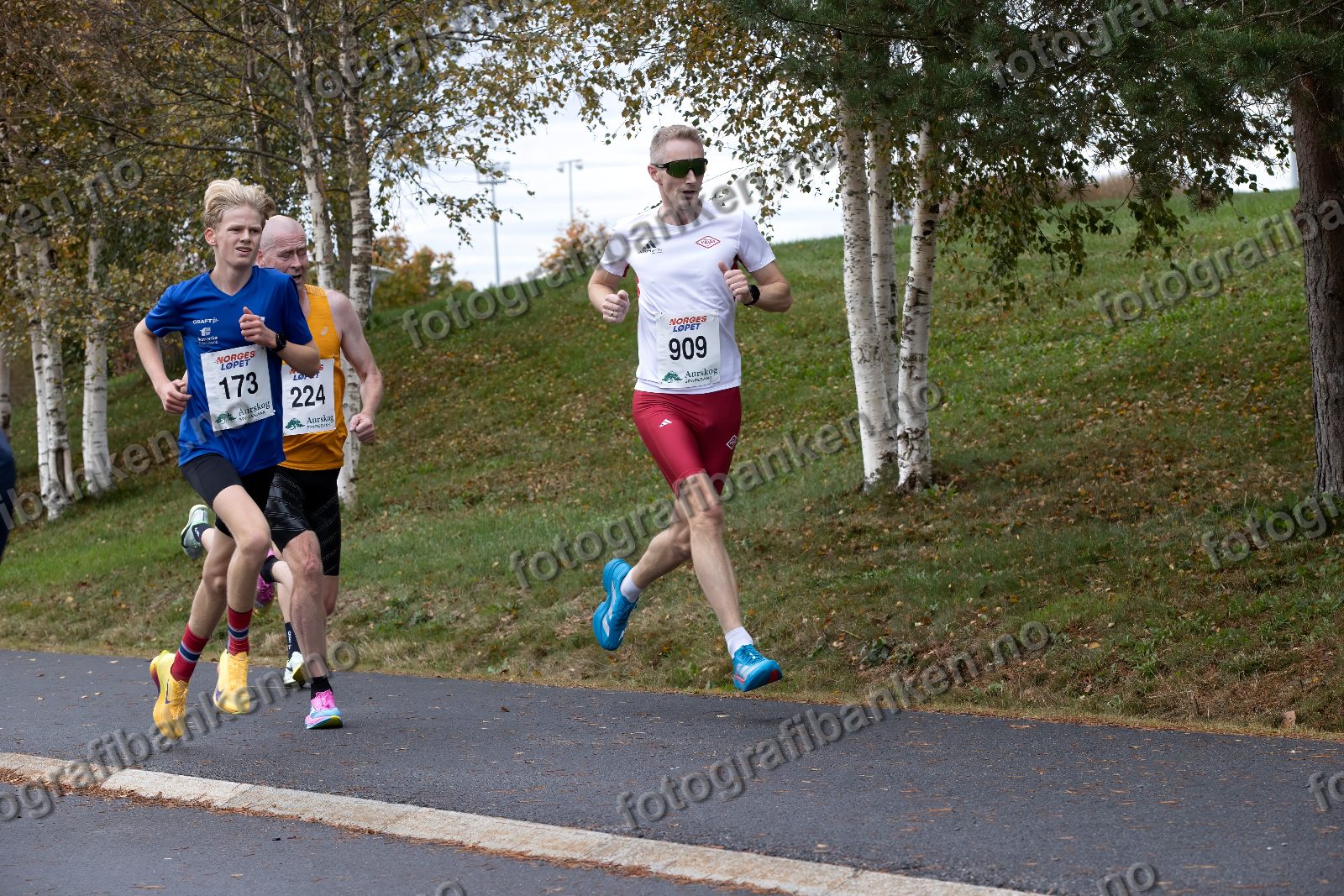 Roger Thompson (909) · Stig Lund Mauseth (173) · Terje Gulbrandsen (224)